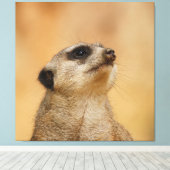 Meerkat 011 leinwanddruck (Insitu (Holzboden))