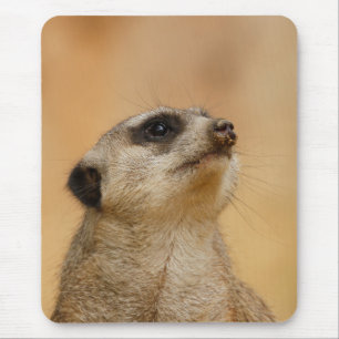 Meerkat 011 mousepad