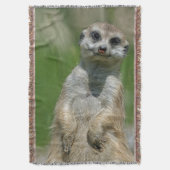 Meerkat 013 decke (Vorderseite Vertikal)