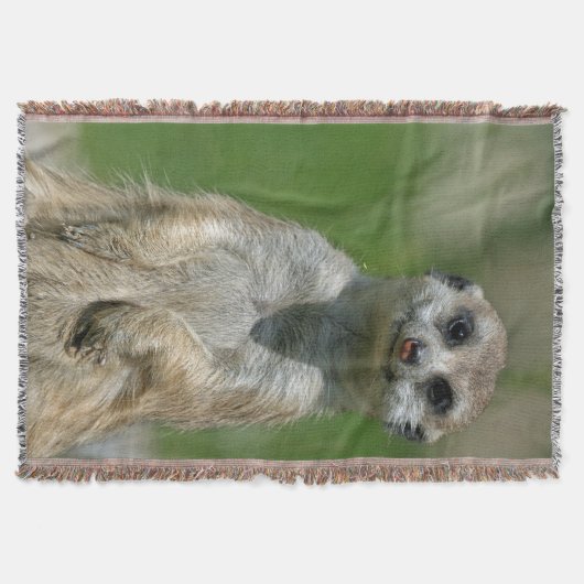 Meerkat 013 decke (Vorderseite)