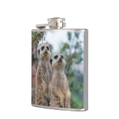 Meerkat 013 flachmann (Links)