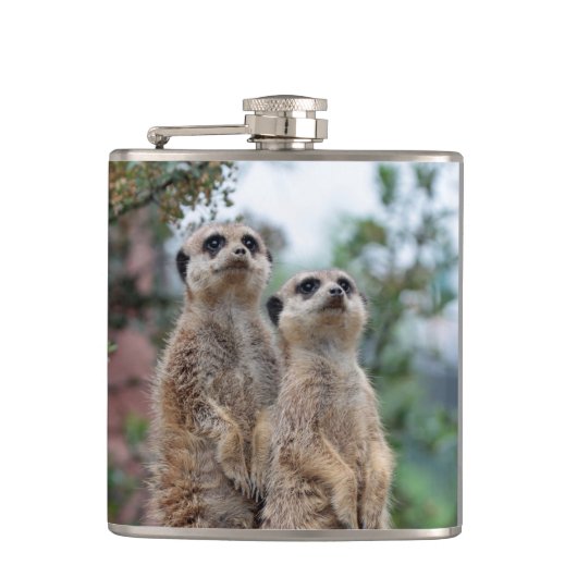 Meerkat 013 flachmann (Vorderseite)