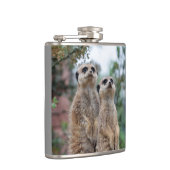 Meerkat 013 flachmann (Rechts)