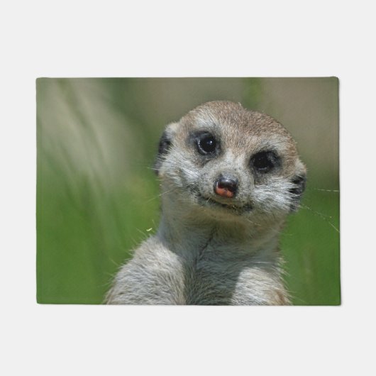 Meerkat 013 fußmatte (Vorderseite)