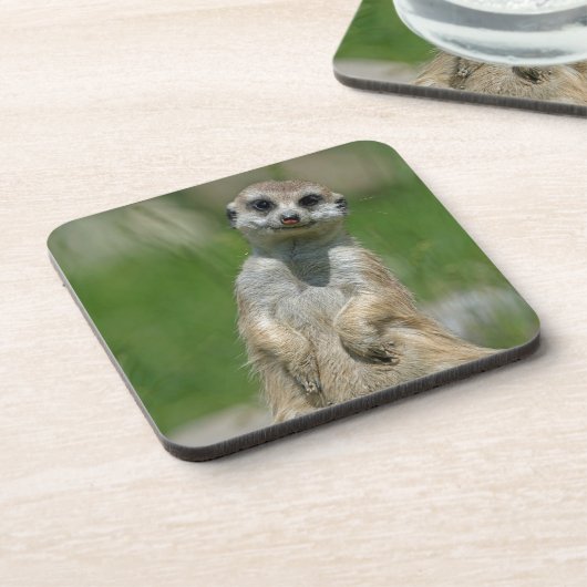 Meerkat 013 getränkeuntersetzer (Linke Seite)