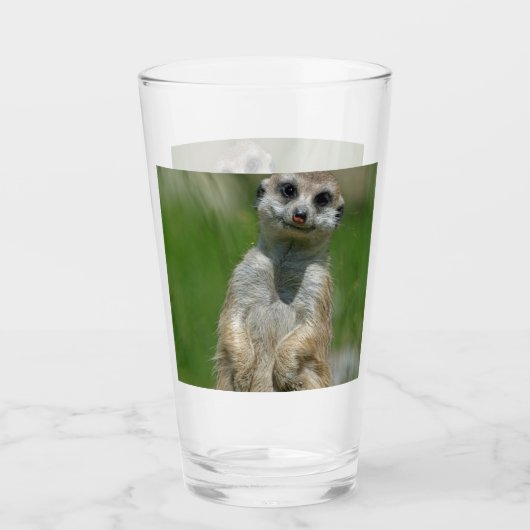 Meerkat 013 glas (Vorderseite)