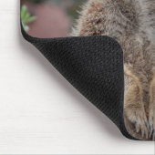 Meerkat 013 mousepad (Ecke)