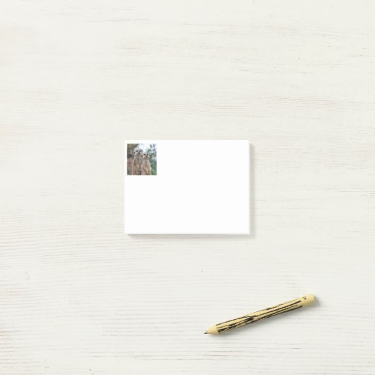 Meerkat 013 post-it klebezettel (Auf Schreibtisch)