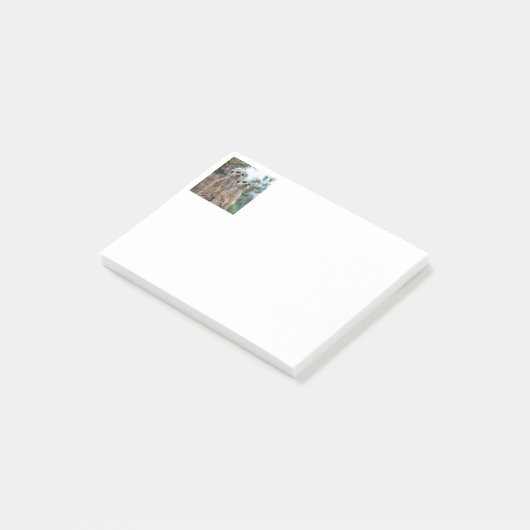 Meerkat 013 post-it klebezettel (angewinkelt)