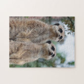 Meerkat 013 puzzle (Horizontal)