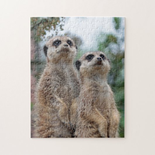 Meerkat 013 puzzle (Vertikal)