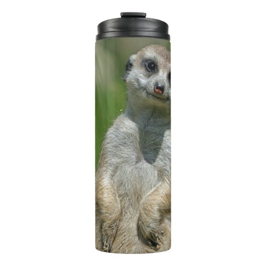 Meerkat 013 thermosbecher (Vorderseite)