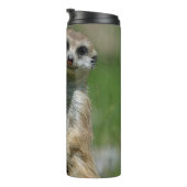 Meerkat 013 thermosbecher (Nach rechts gedreht)
