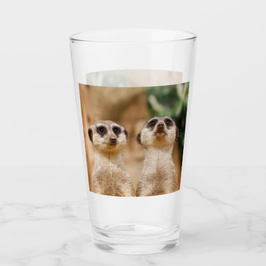 Meerkat 017 glas (Vorderseite)