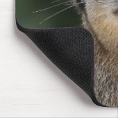 Meerkat 017 mousepad (Ecke)