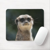 Meerkat 017 mousepad (Mit Mouse)