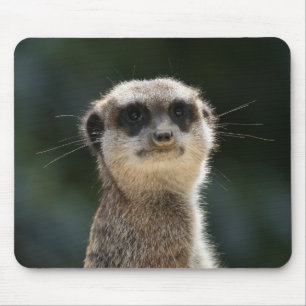 Meerkat 017 mousepad