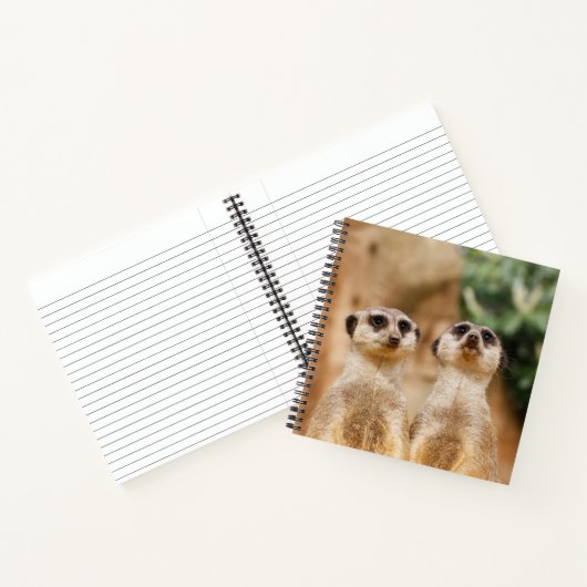 Meerkat 017 notizblock (Innenseite)