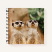 Meerkat 017 notizblock (Vorderseite)