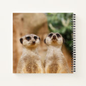 Meerkat 017 notizblock (Rückseite)