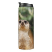 Meerkat 017 thermosbecher (Nach rechts gedreht)