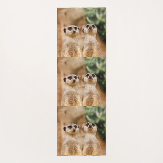 Meerkat 017 yogamatte (Rückseite)