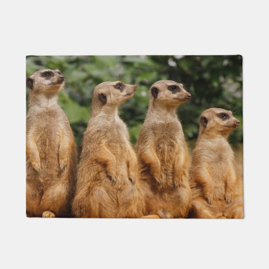 Meerkat 018 fußmatte (Vorderseite)