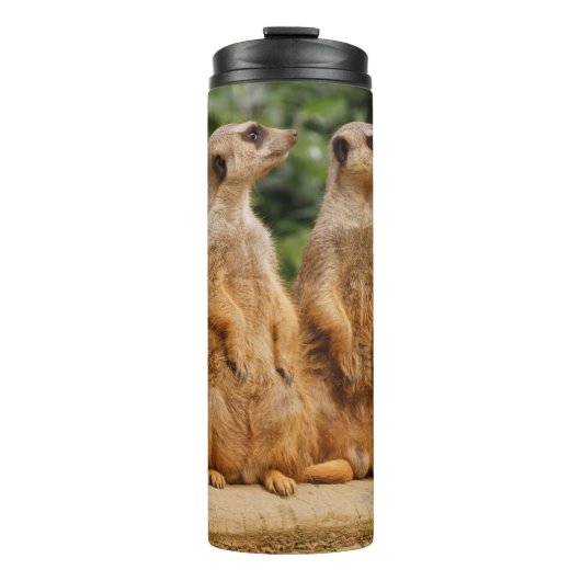 Meerkat 018 thermosbecher (Vorderseite)