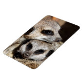 Meerkat 019 magnet (Linke Seite)