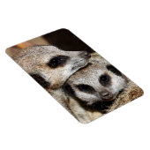 Meerkat 019 magnet (Rechte Seite)