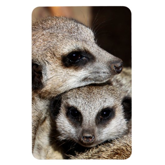 Meerkat 019 magnet (Vertikal)