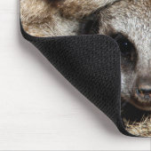 Meerkat 019 mousepad (Ecke)