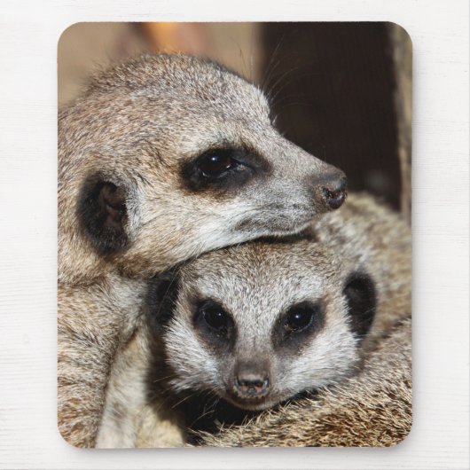 Meerkat 019 mousepad (Vorne)