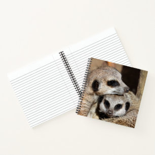 Meerkat 019 notizblock