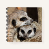 Meerkat 019 notizblock (Vorderseite)