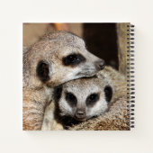 Meerkat 019 notizblock (Rückseite)