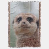Meerkat 020 decke (Vorderseite Vertikal)