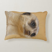 Meerkat 020 dekokissen (Rückseite)