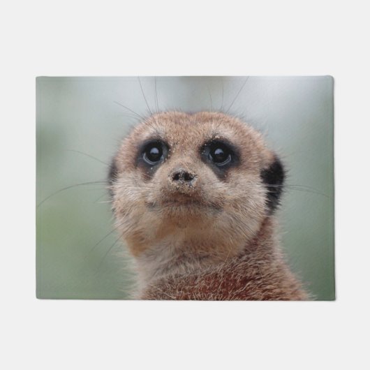 Meerkat 020 fußmatte (Vorderseite)