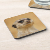 Meerkat 020 getränkeuntersetzer (Linke Seite)