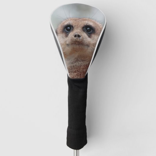 Meerkat 020 golf headcover (Vorderseite)