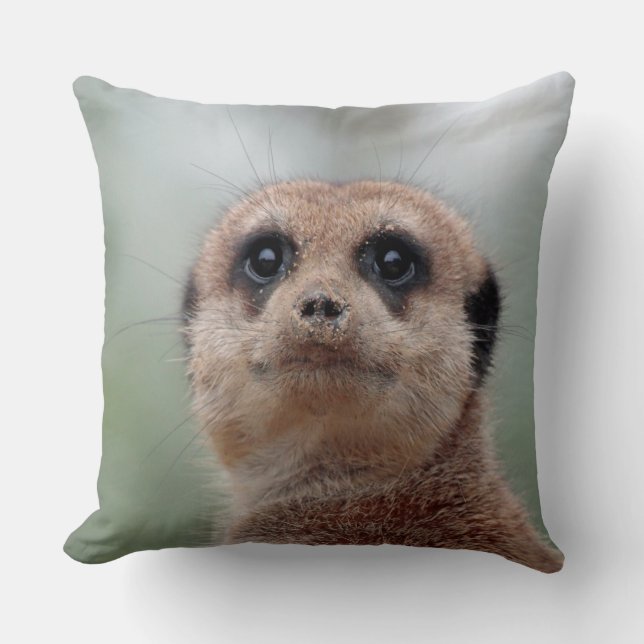 Meerkat 020 kissen (Vorderseite)