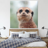 Meerkat 020 leinwanddruck (Insitu (Schlafzimmer))
