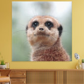 Meerkat 020 leinwanddruck (Insitu (Wohnzimmer))