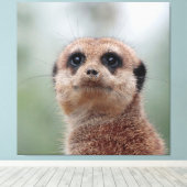 Meerkat 020 leinwanddruck (Insitu (Holzboden))