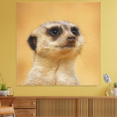 Meerkat 020 leinwanddruck (Insitu (Wohnzimmer))