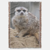 Meerkat 021 decke (Vorderseite Vertikal)
