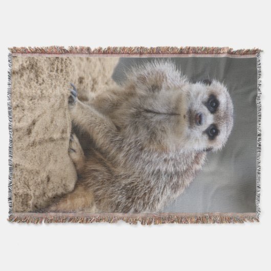 Meerkat 021 decke (Vorderseite)