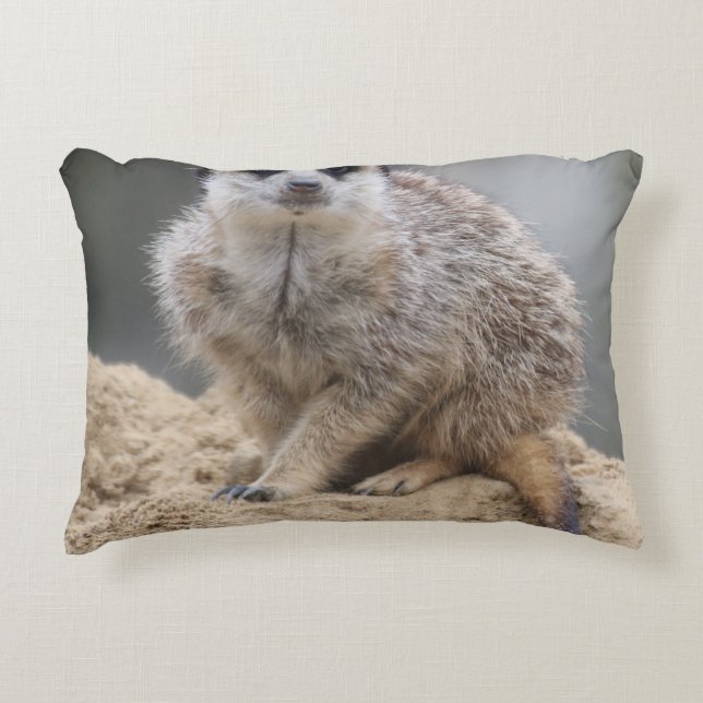 Meerkat 021 dekokissen (Vorderseite)