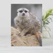 Meerkat 021 feiertagskarte (Stehend Vorderseite)